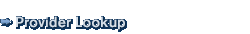 Tier 1 Provider Lookup