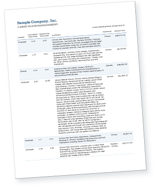 Sample Large Claim Management Report